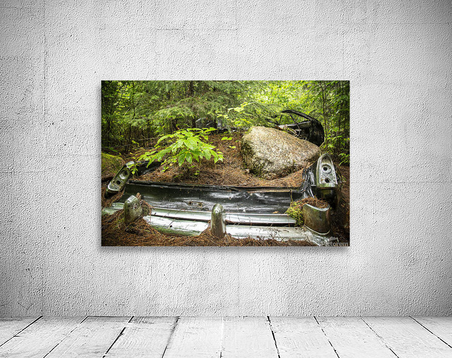 Car with Boulder in Nature Wall Preview