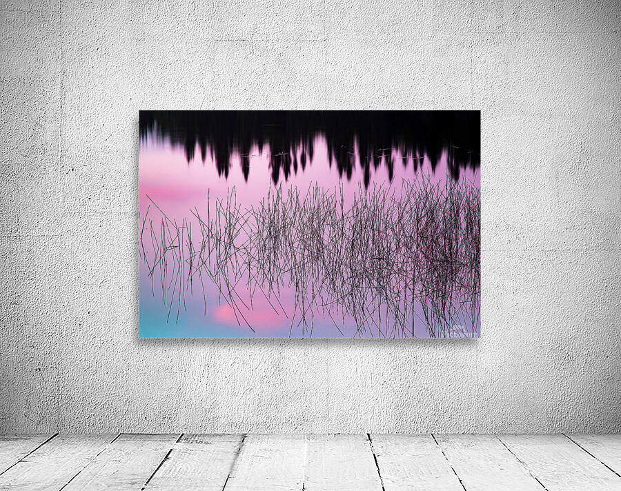 A Weedy Lake Abstract Wall Preview