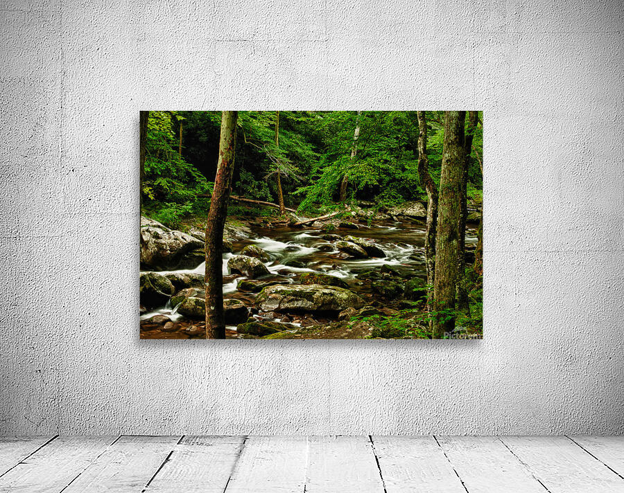 Smoky Mountain Stream Tennessee Wall Preview