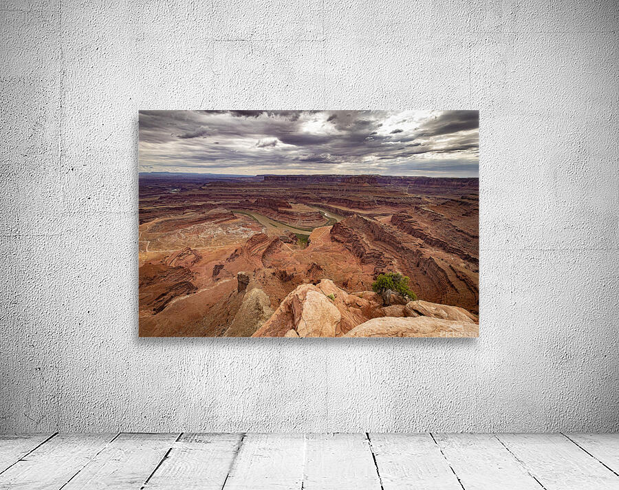Dead Horse Point State Park Utah Wall Preview