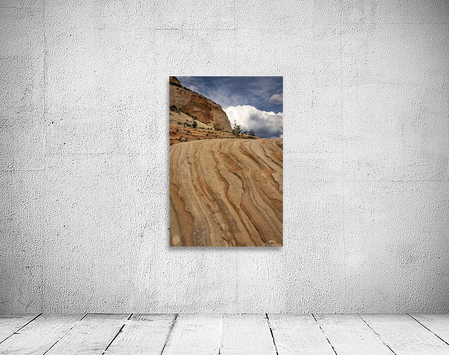 Zion to the Sky Wall Preview