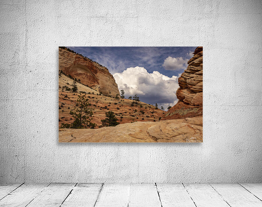 Zion National Park Window to Heaven Wall Preview