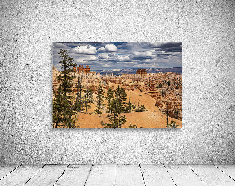 Bryce Canyon National Park Vista Wall Preview