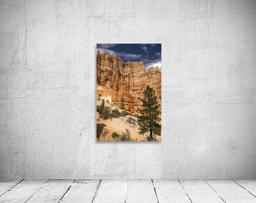 Bryce Canyon National Park Castle Window Wall Preview