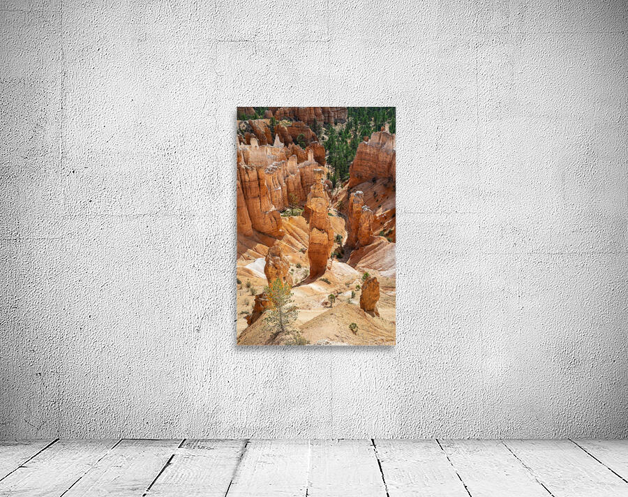 Bryce Canyon National Park Funnel Wall Preview