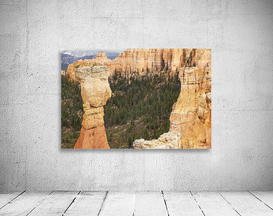 Bryce Canyon National Park Window Wall Preview