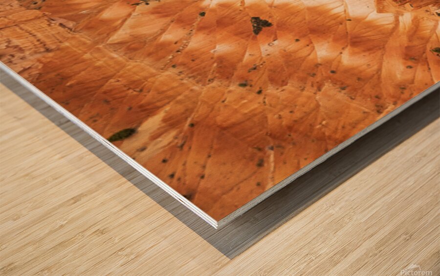 Bryce Canyon Theater Wood print