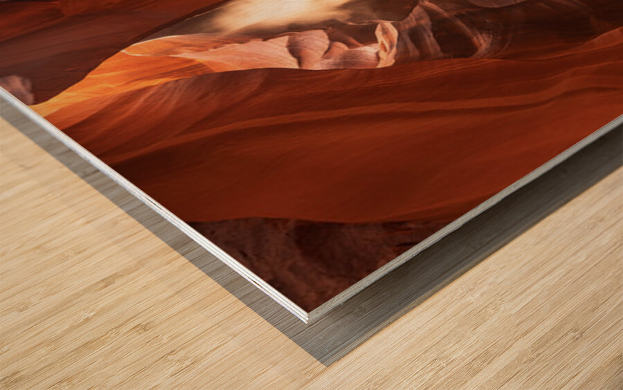 The Ghost Wood print