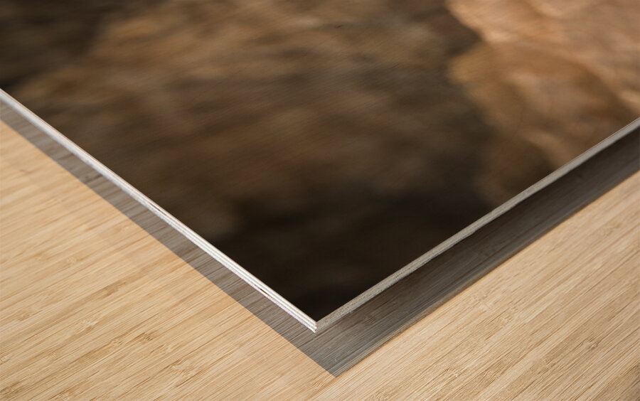 Bighorn Sheep of Badlands Wood print