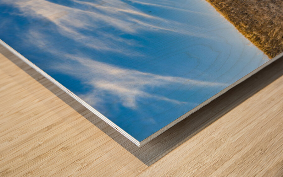 Slanted Tree Wood print