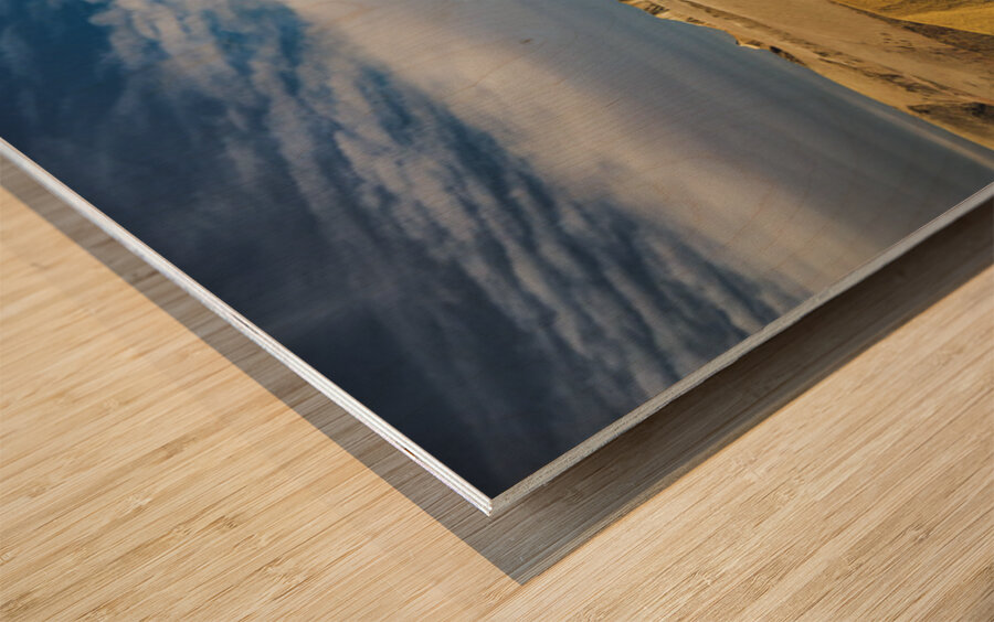 Aliens In The Badlands Wood print