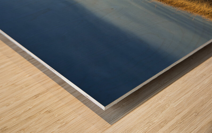 Brush In The Badlands Wood print