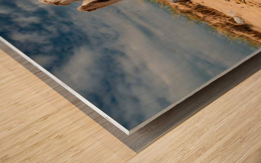 Driftwood ON the Beach Wood print