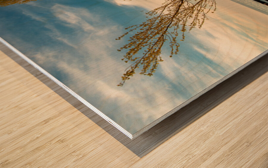 Point Betsie Lighthouse On The Beach Wood print