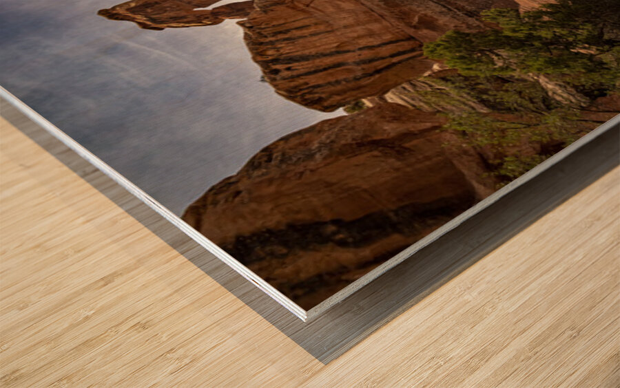 Druid Arch Canyonlands Wood print