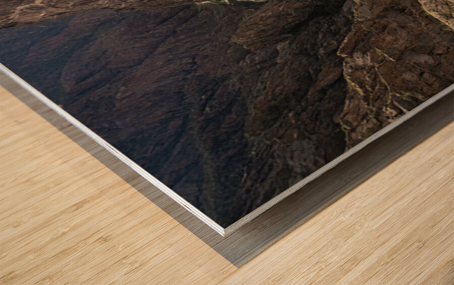 Painted Wall Black Canyon of the Gunnison Wood print