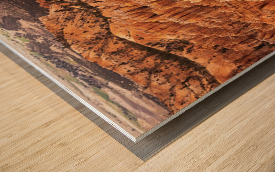 Deadwood Over Bryce Wood print