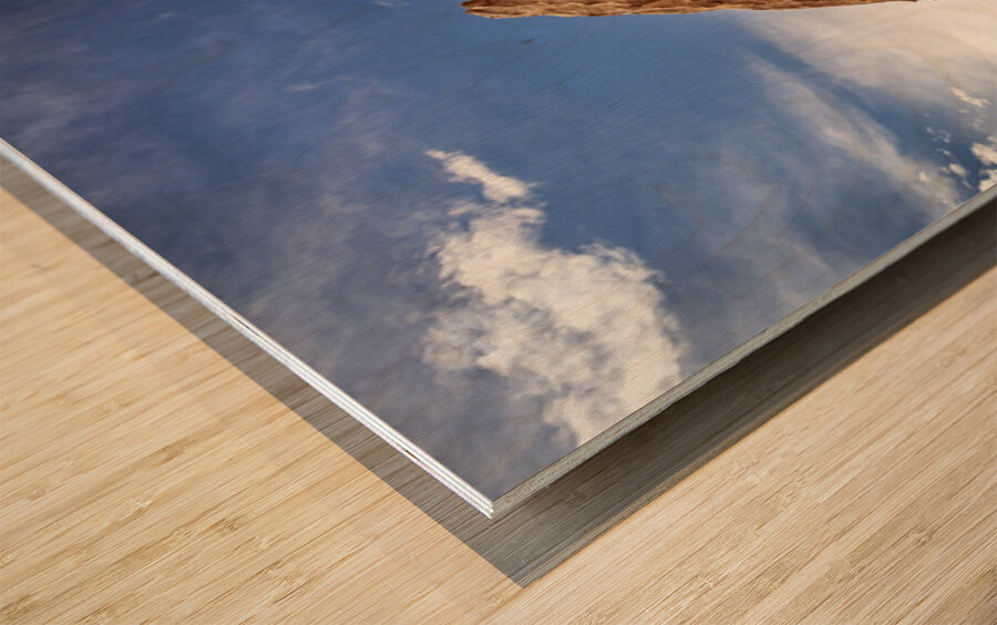 Tilted Rock Wood print