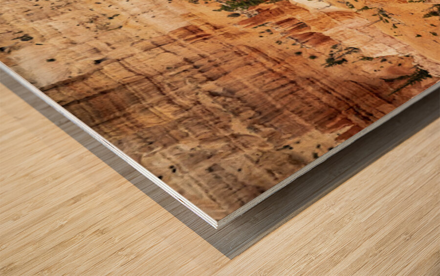 The Pathways of Bryce Wood print