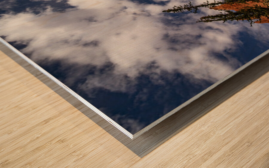 Towering Bryce Wood print