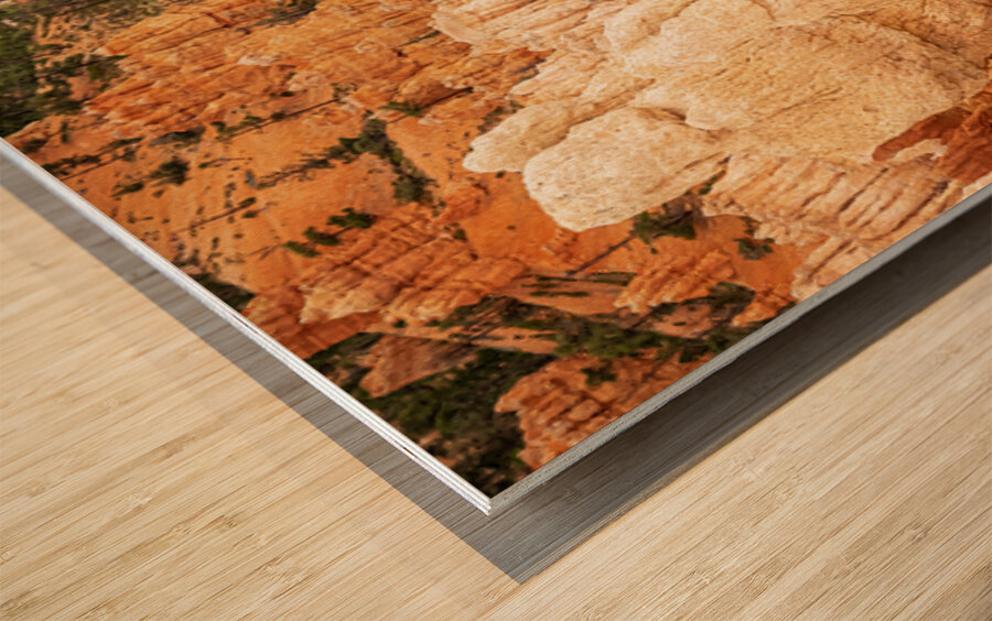 Bryce Canyon National Park Wood print
