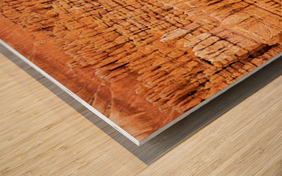 Hoodoo Nation Wood print