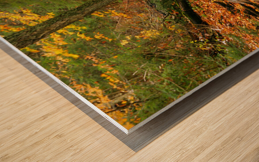 Streams of Michigan Wood print