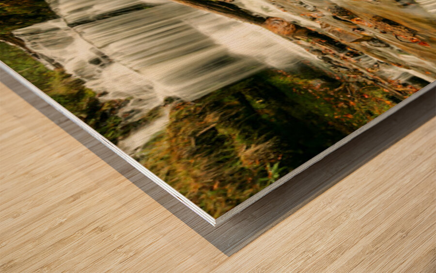 Splendors of Fall Wood print