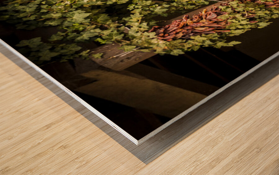 Santa Fe Chili Peppers Wood print