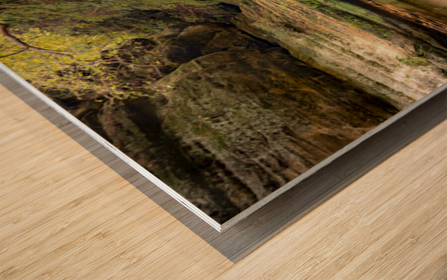 Fall In the Canyon Wood print