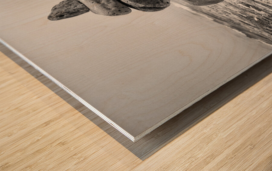 Rock Beach Wood print