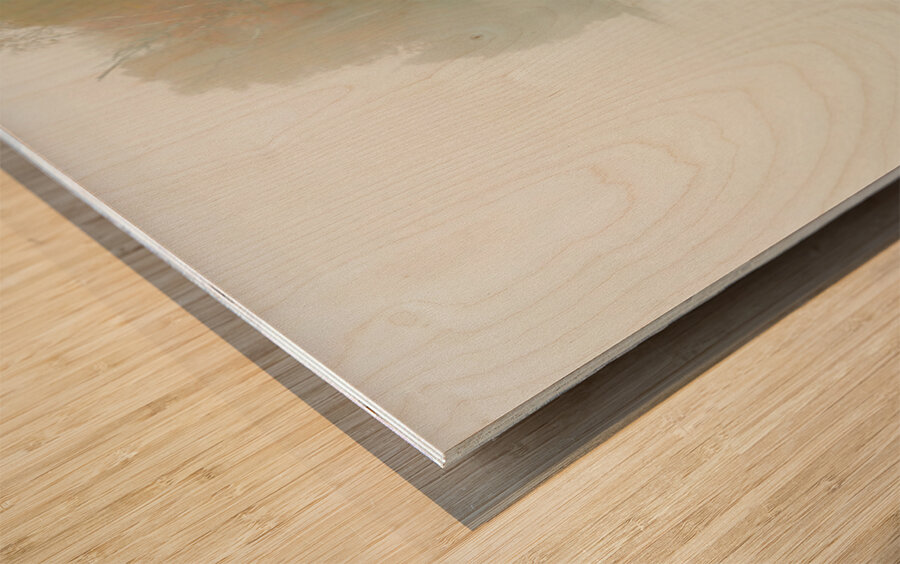 Door County Foggy Morning Wood print