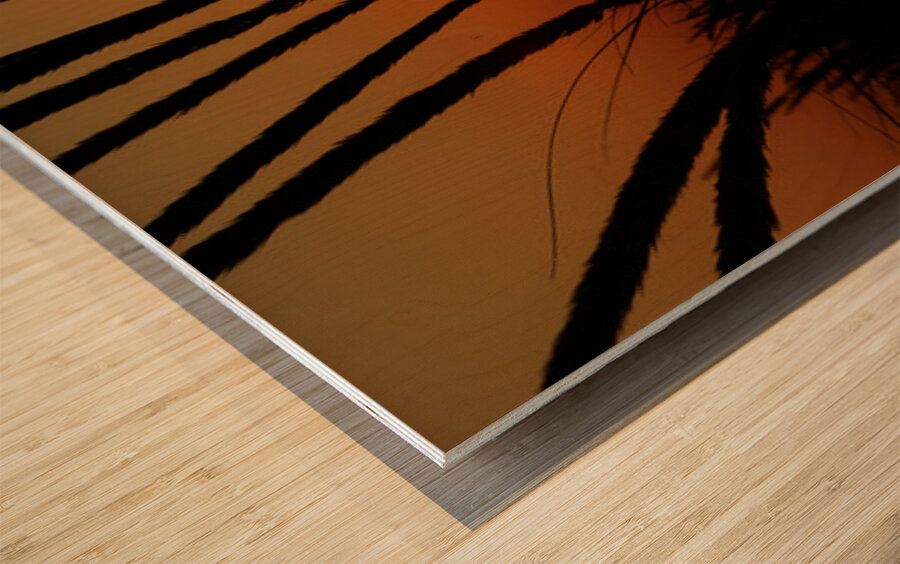 Lake Michigan Sunset Wood print