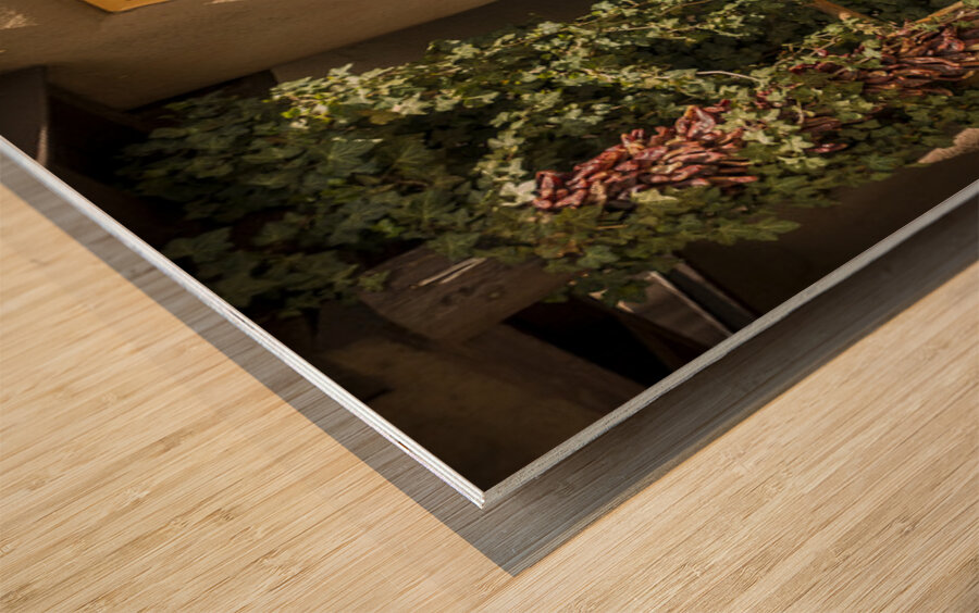 Sante Fe New Mexico Chili Peppers Wood print