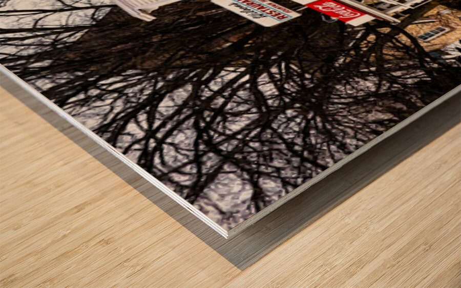 Wilsons Ephraim Wisconsin Wood print