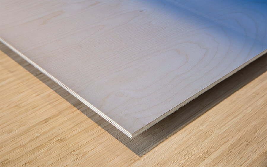 Minnesota Lake Dock Wood print