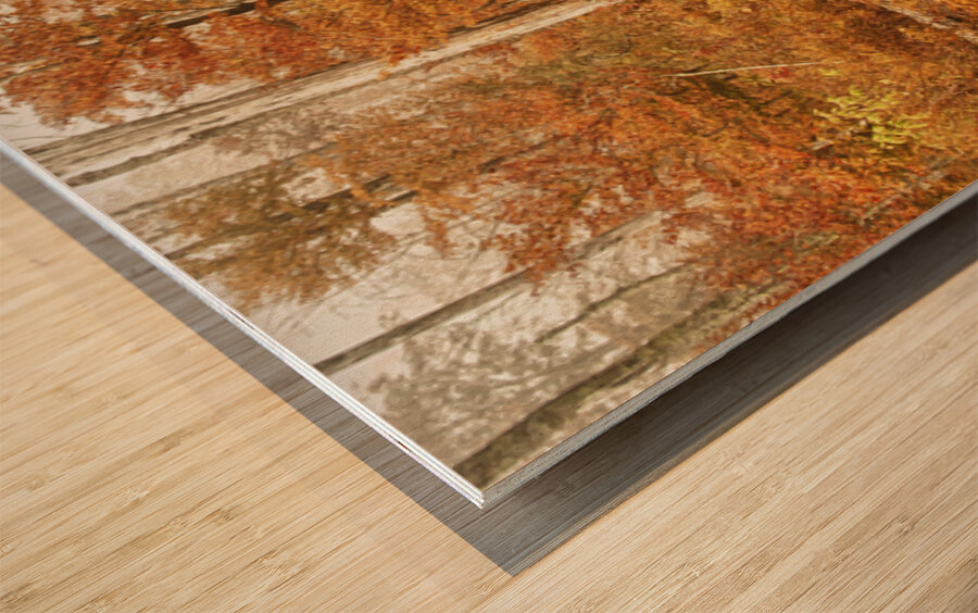 Fall Nature In Door County Wisconsin Wood print