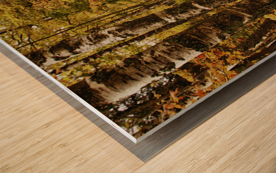 Wisconsin Fall Walk Wood print