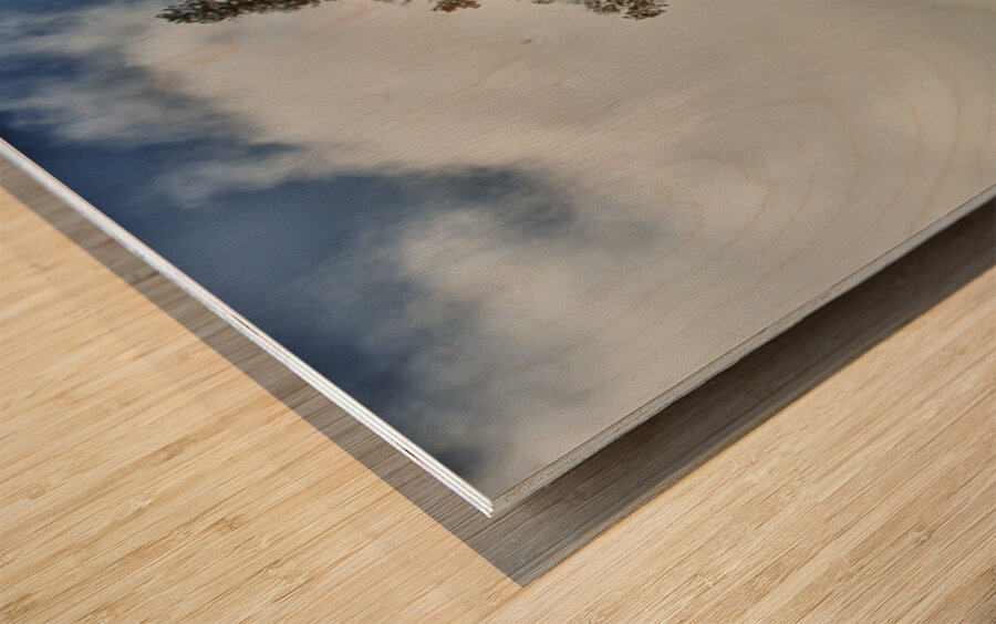 Lake Michigan Shore Line Wisconsin Wood print