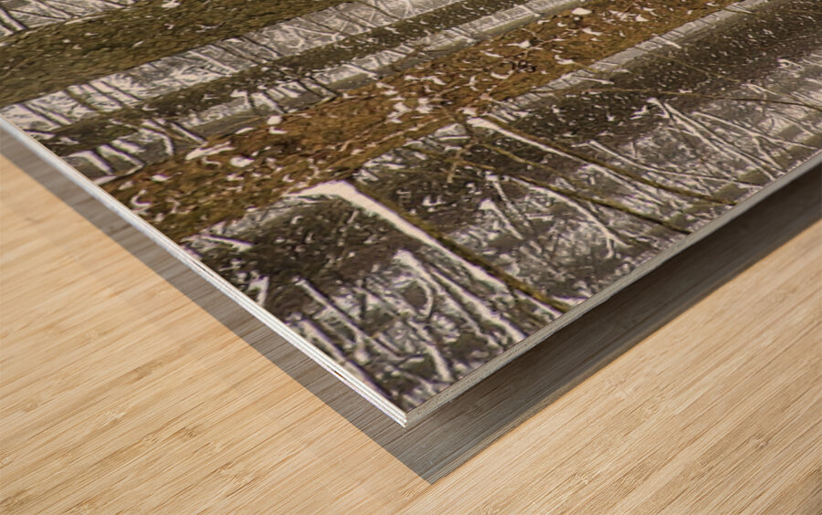 Winter Pine Forest Wood print