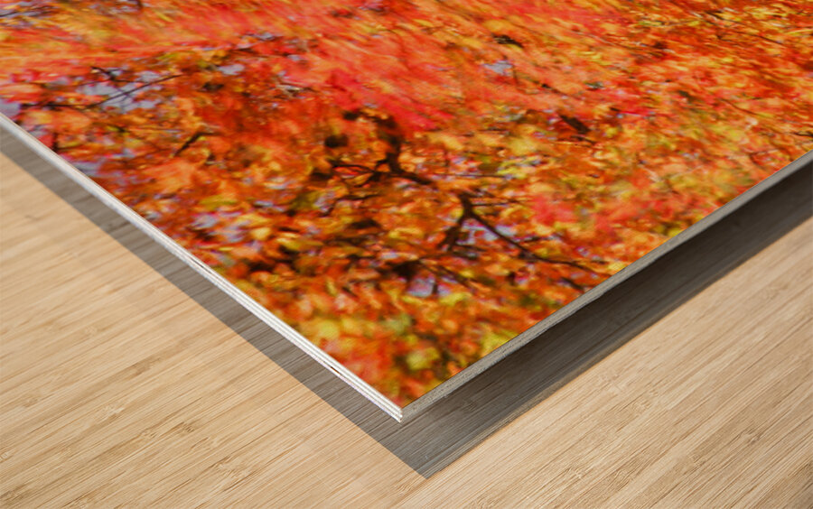 Tree on Fire Wood print