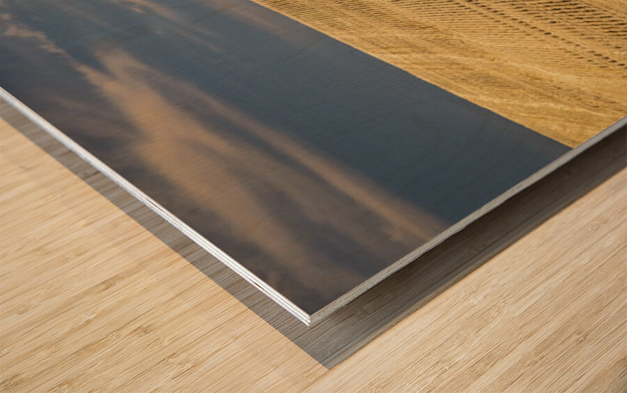 South Dakota Farm Country Wood print