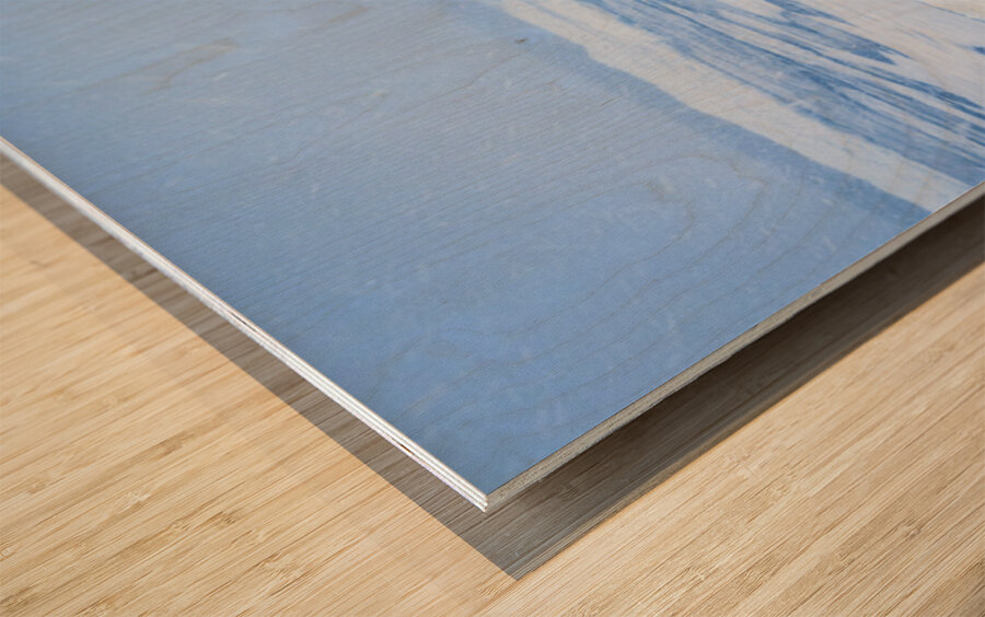 Barn Amongst a Minnesota Snowstorm Wood print