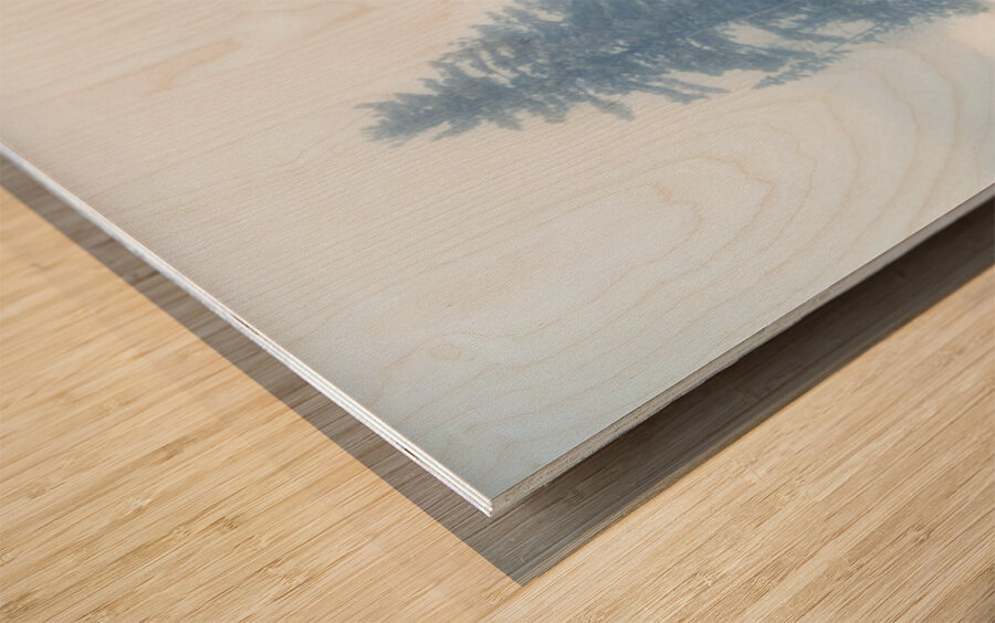 Snowy Frozen Minnesota Island Wood print