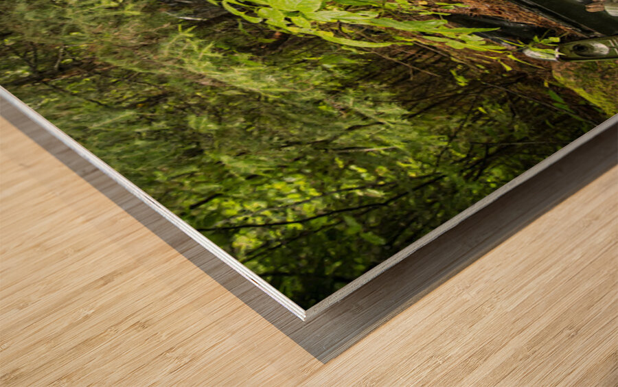 Car with Boulder in Nature Wood print