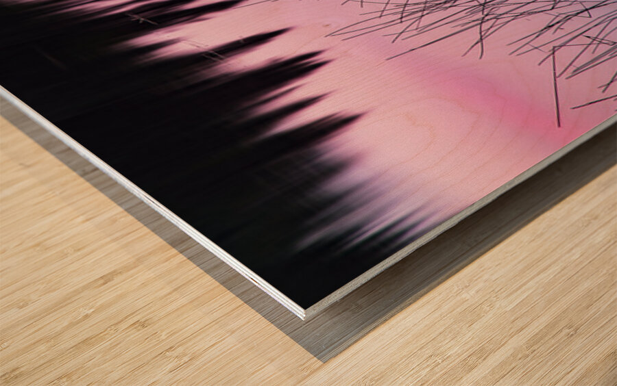 A Weedy Lake Abstract Wood print