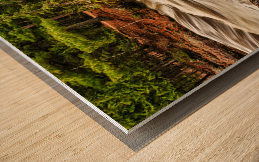 The Mighty Amnicon Rages Wood print