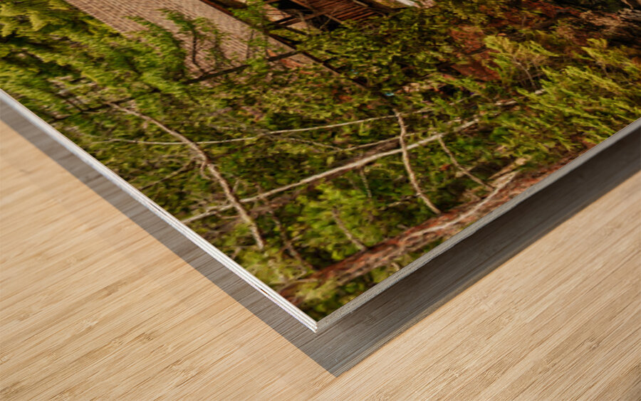 A Bridge Over the Mighty Amnicon River Wood print