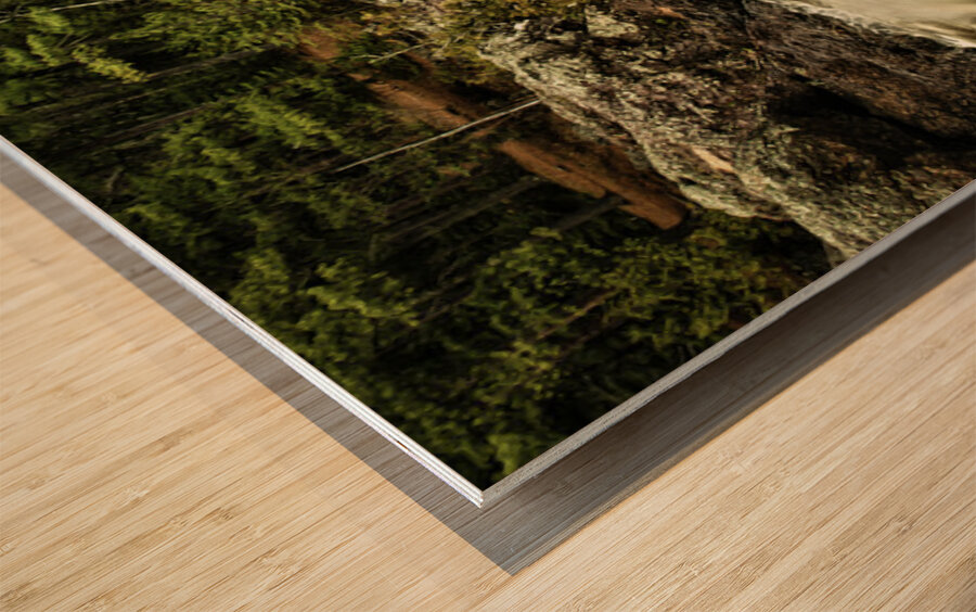 Amnicon River State Park Wisconsin Wood print