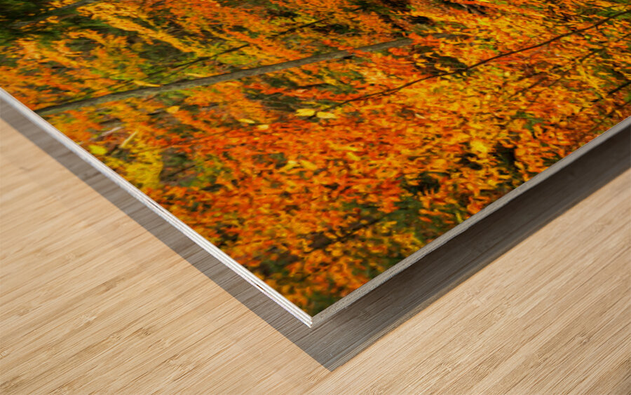 Fall in Munising Michigan Wood print